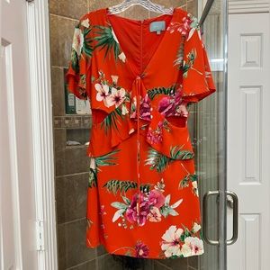 Skies are Blue Beautiful floral dress